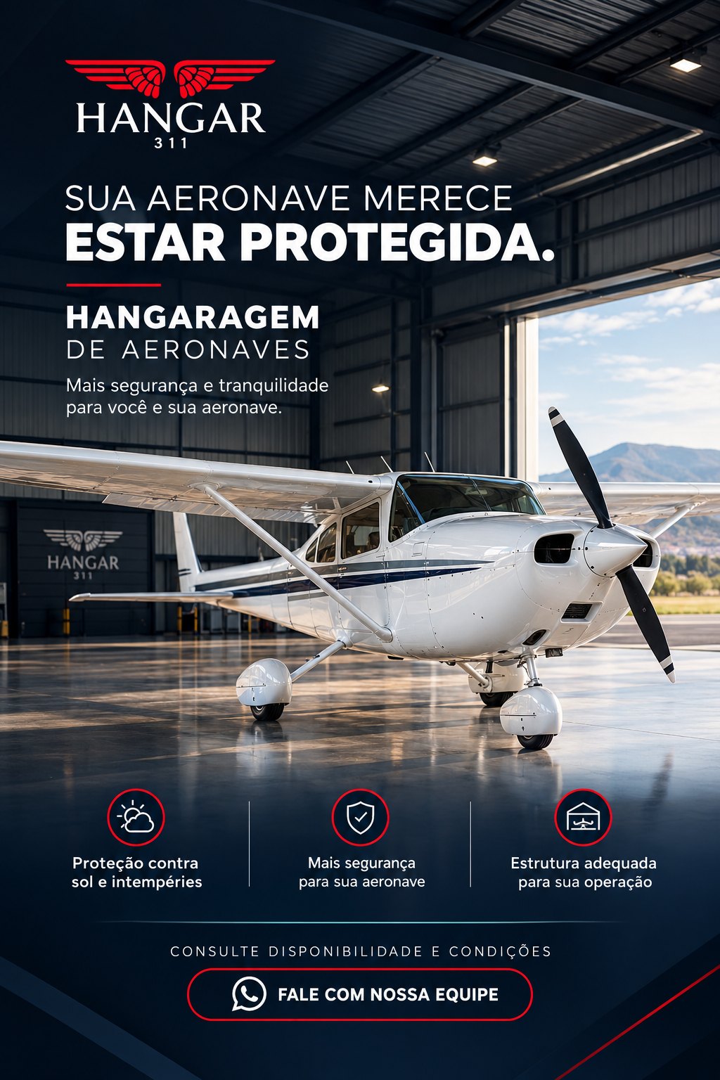 Arte Sua aeronave merece estar protegida